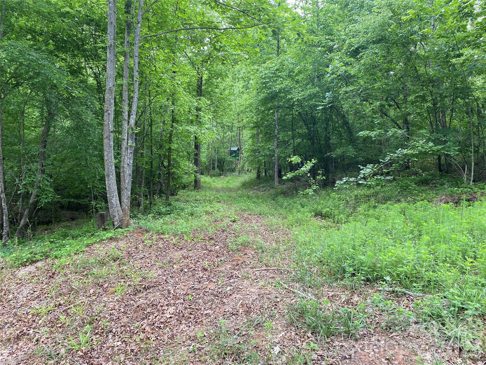 0 Kiser Road Ellenboro, NC 28040 - Photo 5 of 16 a big yard with lots of green space and deers