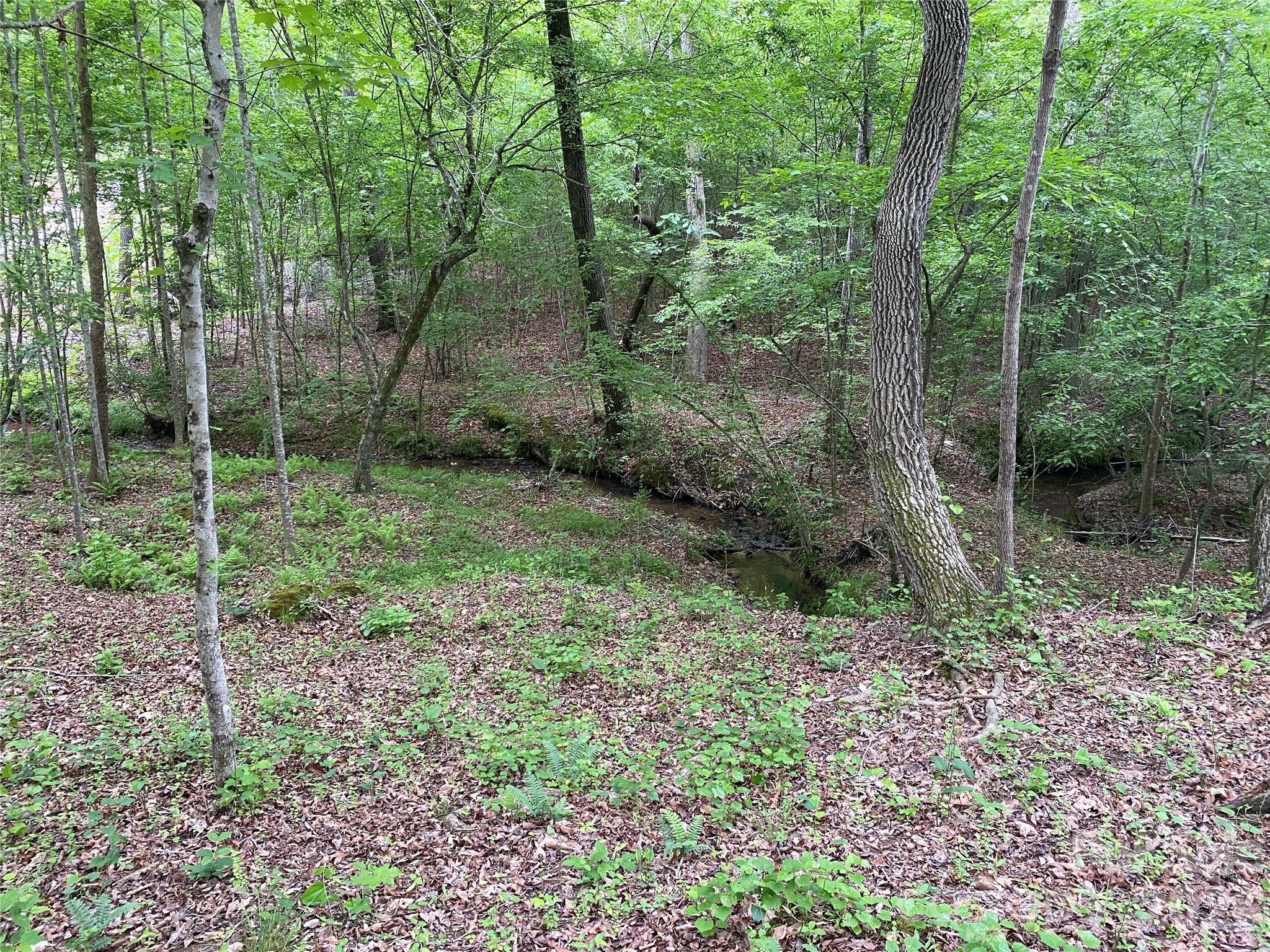 0 Kiser Road Ellenboro, NC 28040 - Photo 6 of 16 a view of a forest with trees