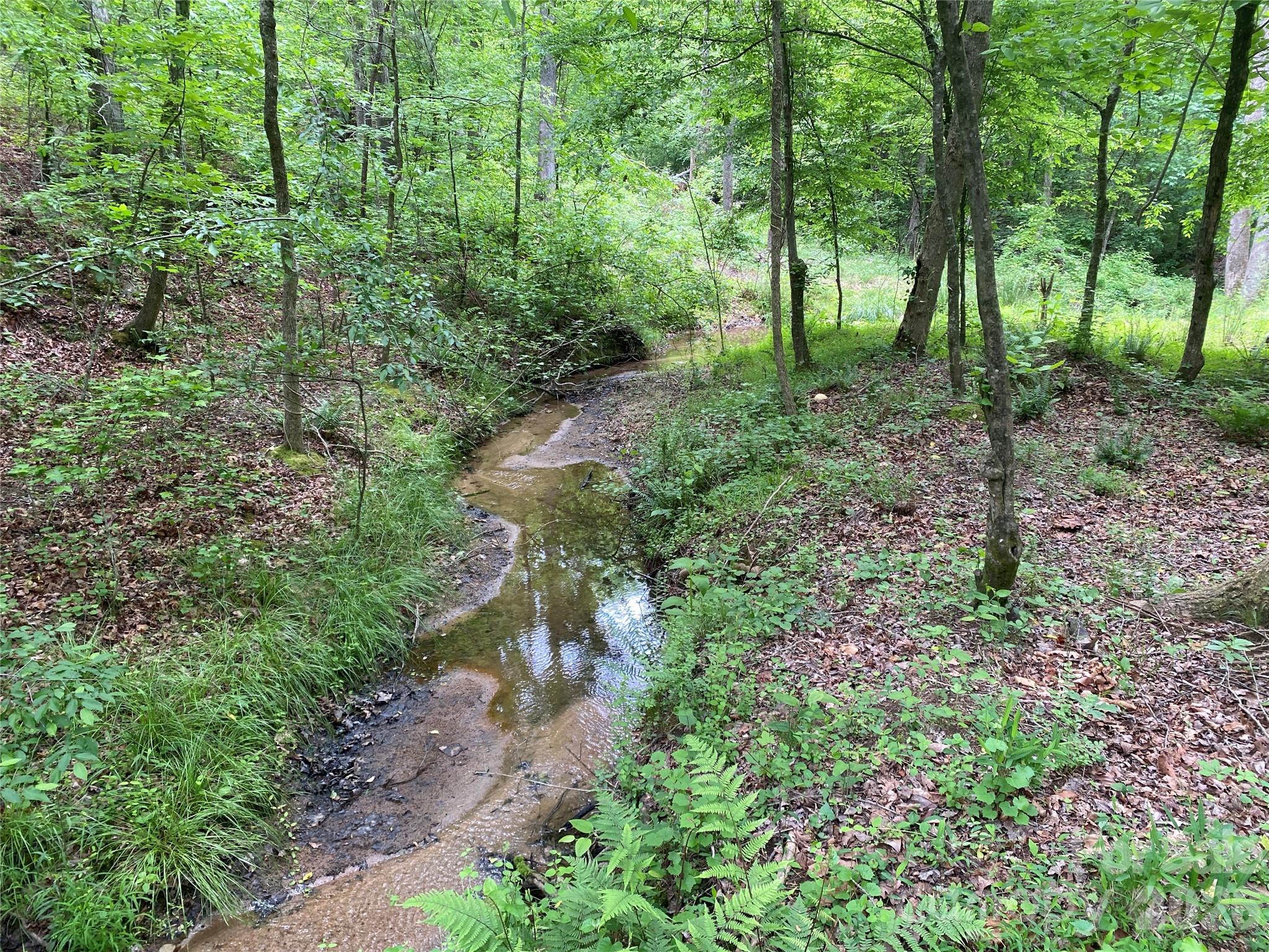 0 Kiser Road Ellenboro, NC 28040 - Photo 7 of 16 a view of a forest with trees