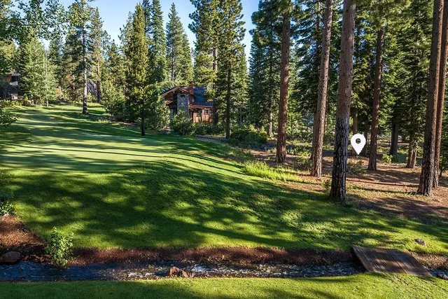 a view of a park with large trees