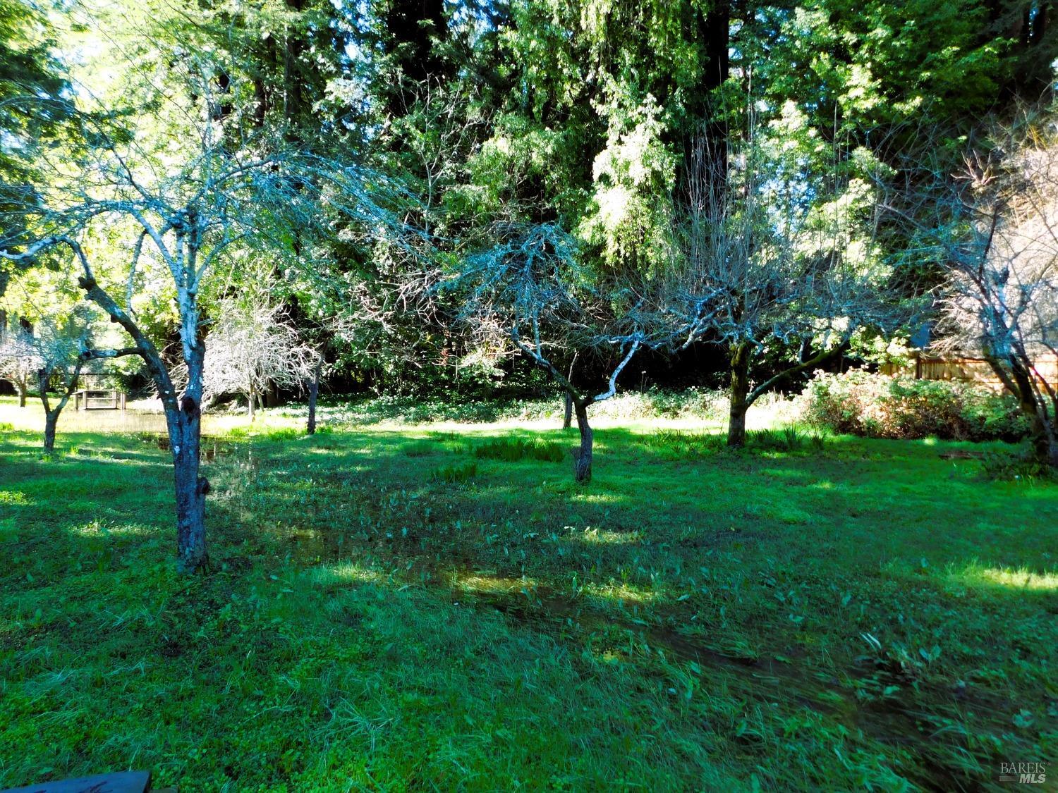 15900 Drake Road Guerneville, CA 95446 - Photo 4 of 9 a view of green field with trees in the background