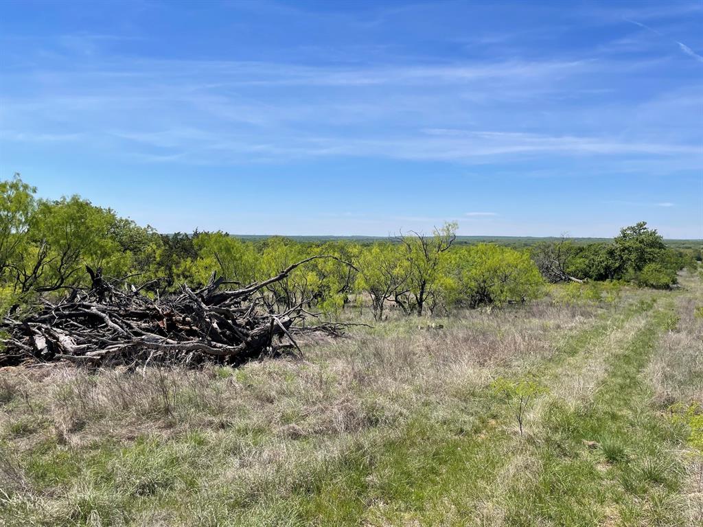 Tbd Tbd County Road Cisco, TX 76437 - Photo 6 of 12 a view of a yard