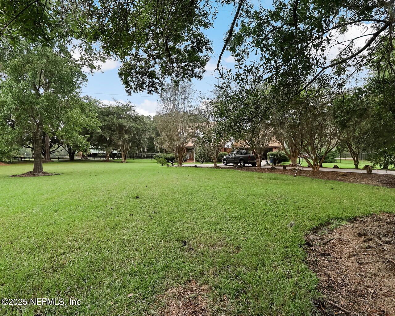 43059 Pearl Lane Callahan, FL 32011 - Photo 38 of 42 a view of yard with trees