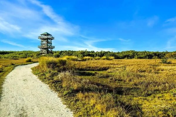a view of an ocean and beach