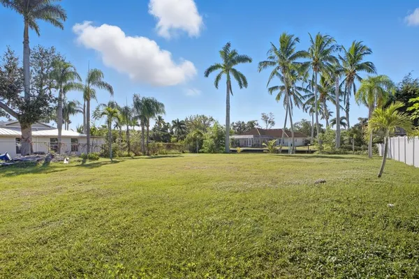 a view of an ocean with a palm trees