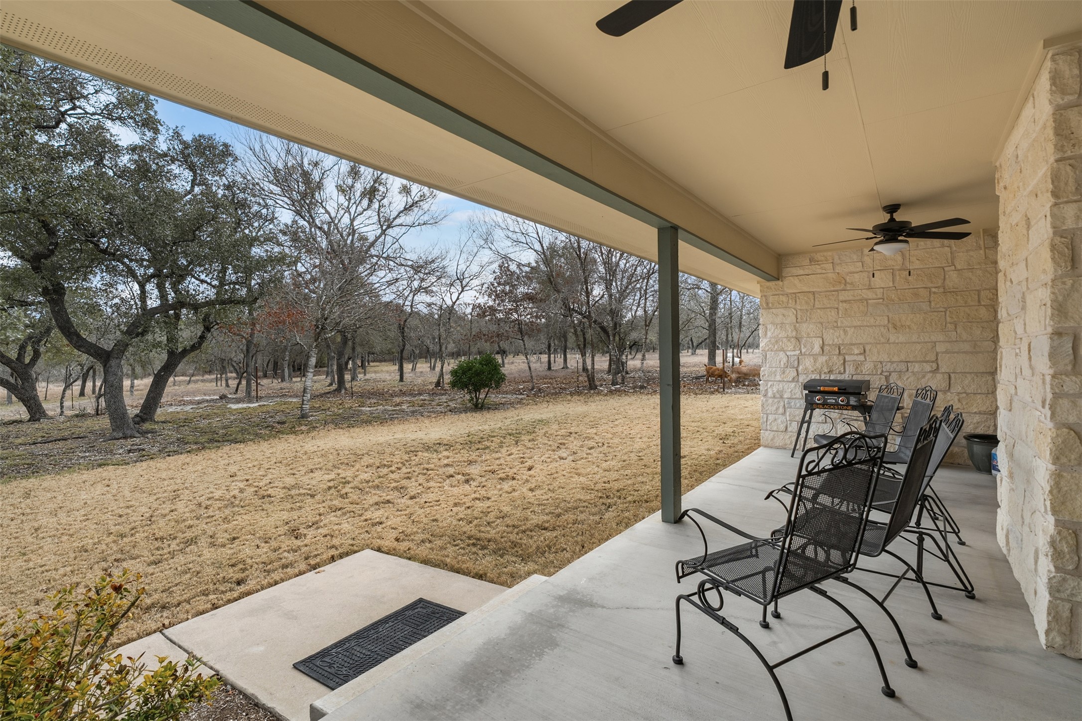 420 Rundberg Drive Jarrell, TX 76537 - Photo 19 of 27 Covered back porch with ceiling fans and garage access