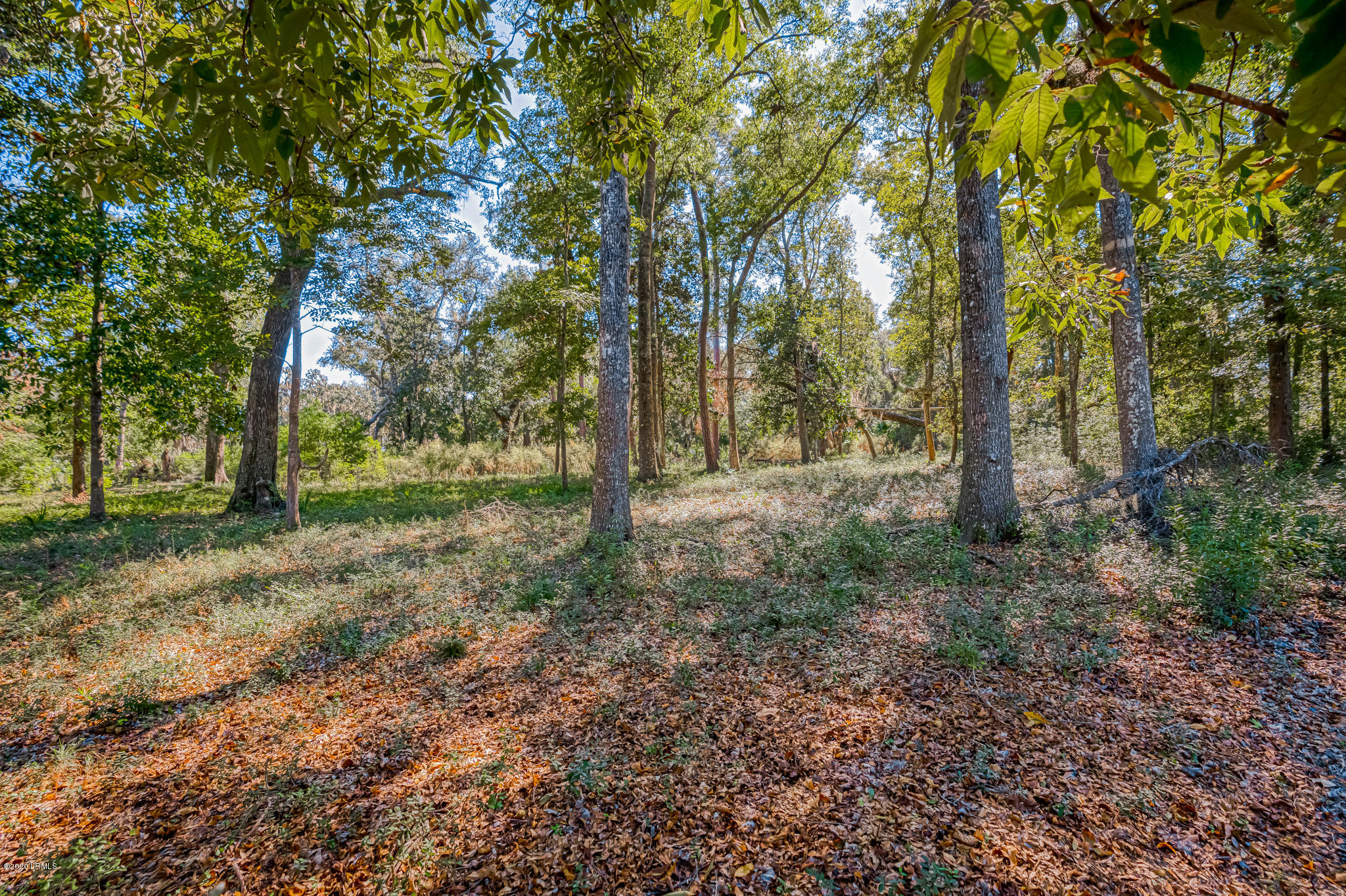 30 Ridge Road Beaufort, SC 29907 - Photo 3 of 17 _DSC6820