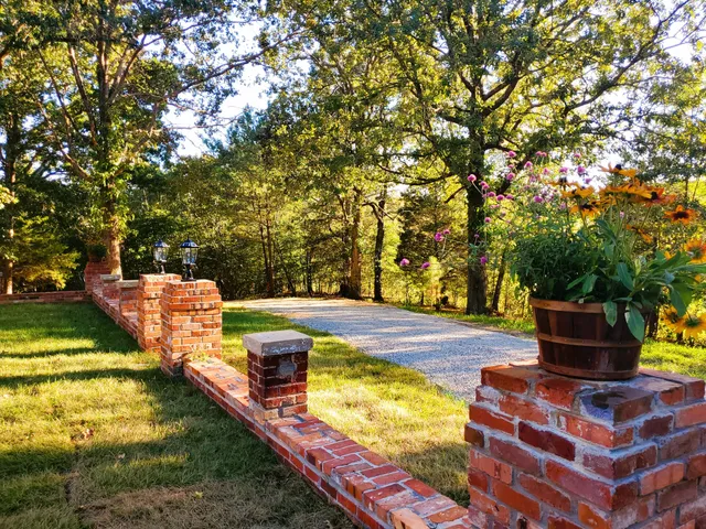 a view of a yard with plants and large trees