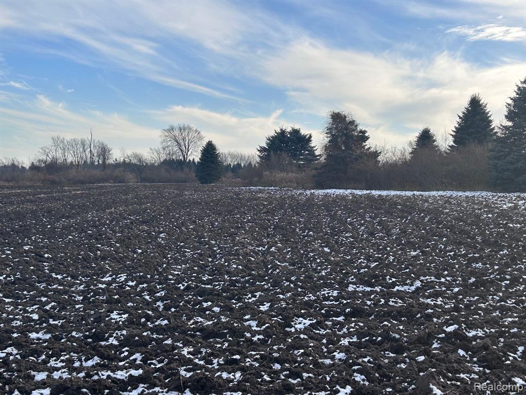 6550 Suerwier Road Applegate, MI 48401 - Photo 3 of 12