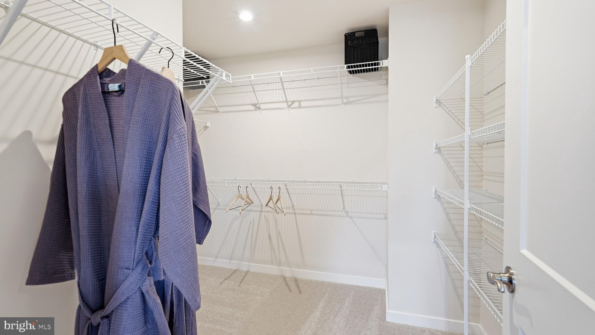 17397 Walnut Grove Way Dumfries, VA 22026 - Photo 28 of 51 a view of walk in closet