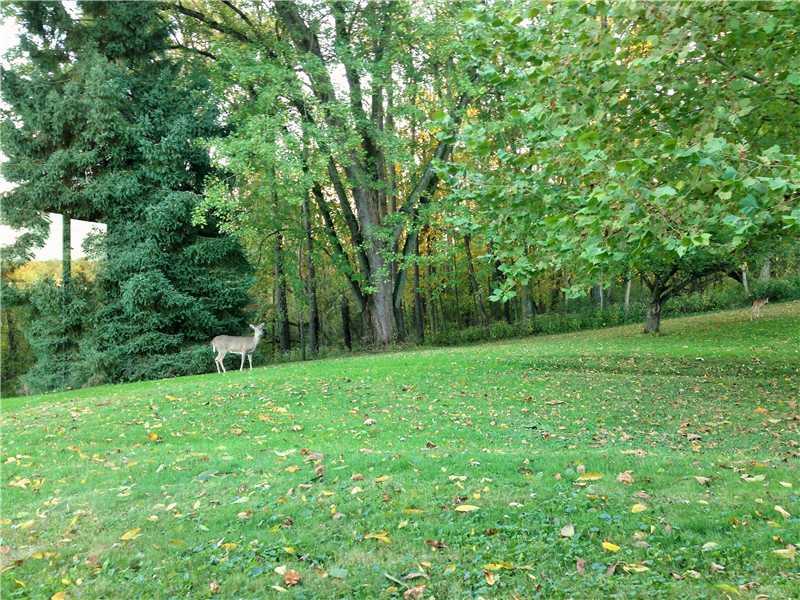 2618 Ridge Road Jefferson Hills, PA 15332 - Photo 6 of 16 Land.