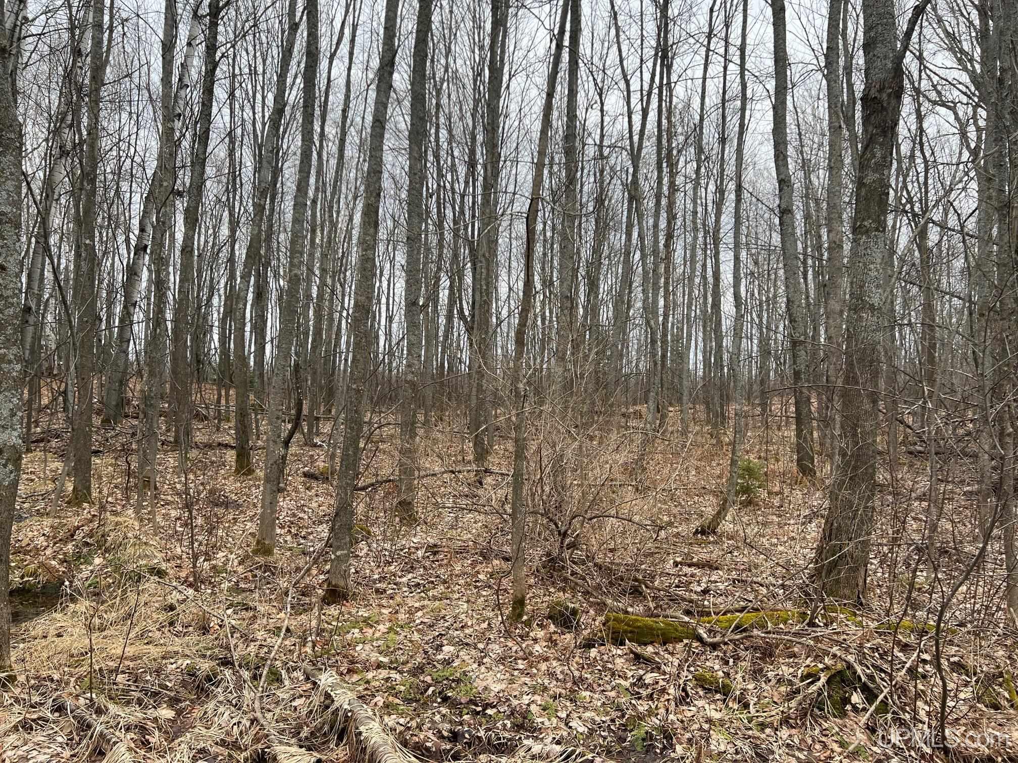 Tbd1807 Tbd1807 Off Townline Road Lanse, MI 49946 - Photo 6 of 15