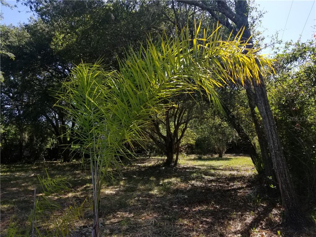 2903 Aein Road Orlando, FL 32817 - Photo 1 of 1 Gallery Image 1