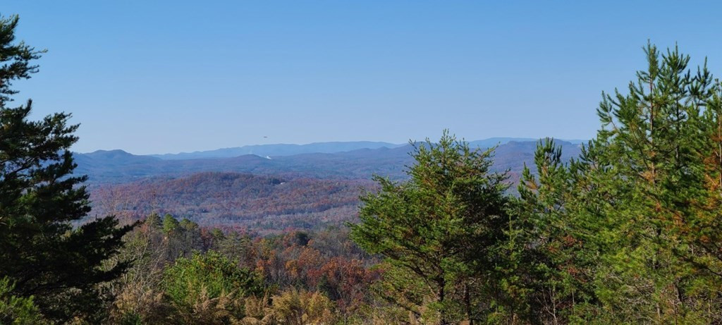 Lot 14 Patriot Ridge Murphy, NC 28906 - Photo 19 of 25