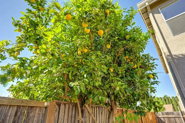 $525,000 | 2064 Morgan Way, Yuba City, CA 95993