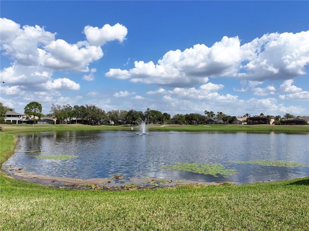1209 Castleport Road Winter Garden, FL 34787 - Photo 29 of 36 a view of a lake with houses in the background