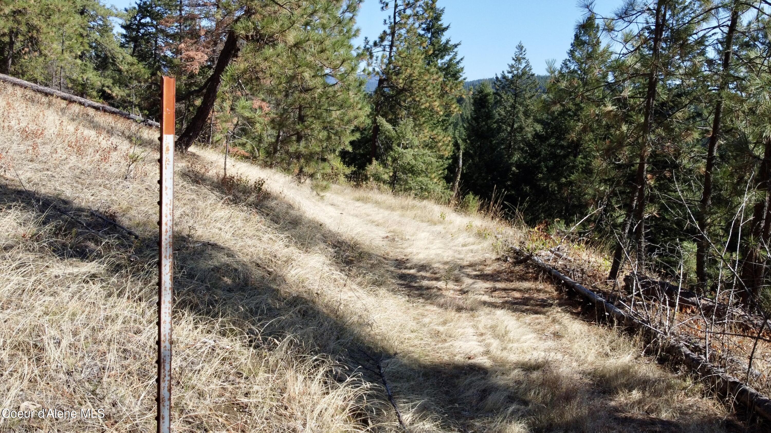 Nna Parcel South Cederbloom Road Coeur D'Alene, ID 83814 - Photo 17 of 23 17