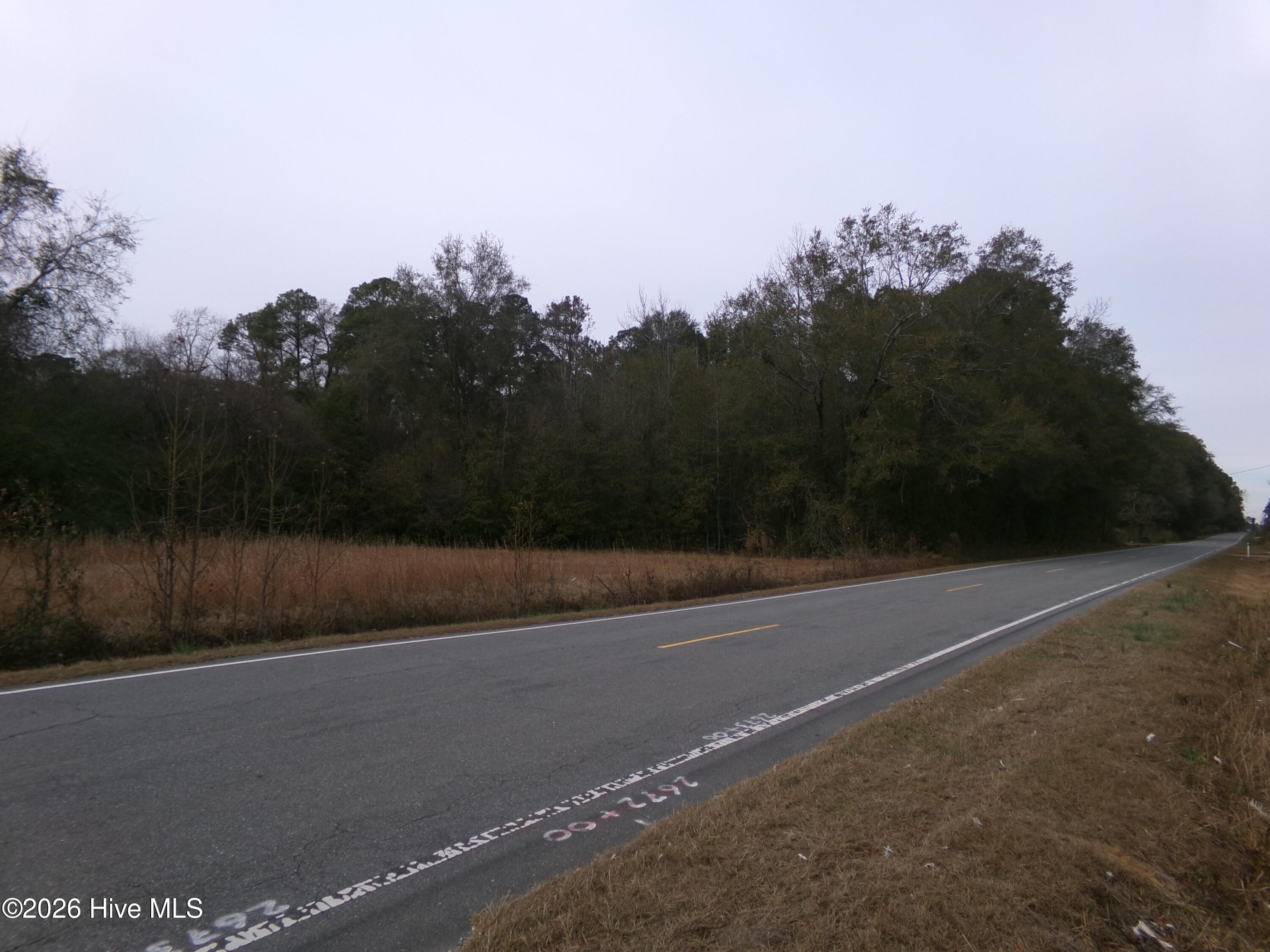 Lot 2 Ivanhoe Road Harrells, NC 28444 - Photo 1 of 1 139_1037