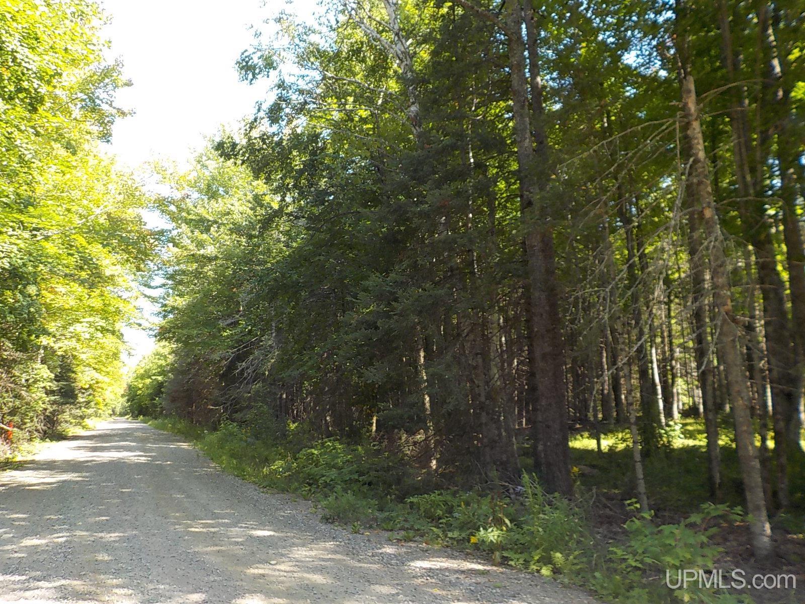 182 Wests Road Crystal Falls, MI 49920 - Photo 27 of 38