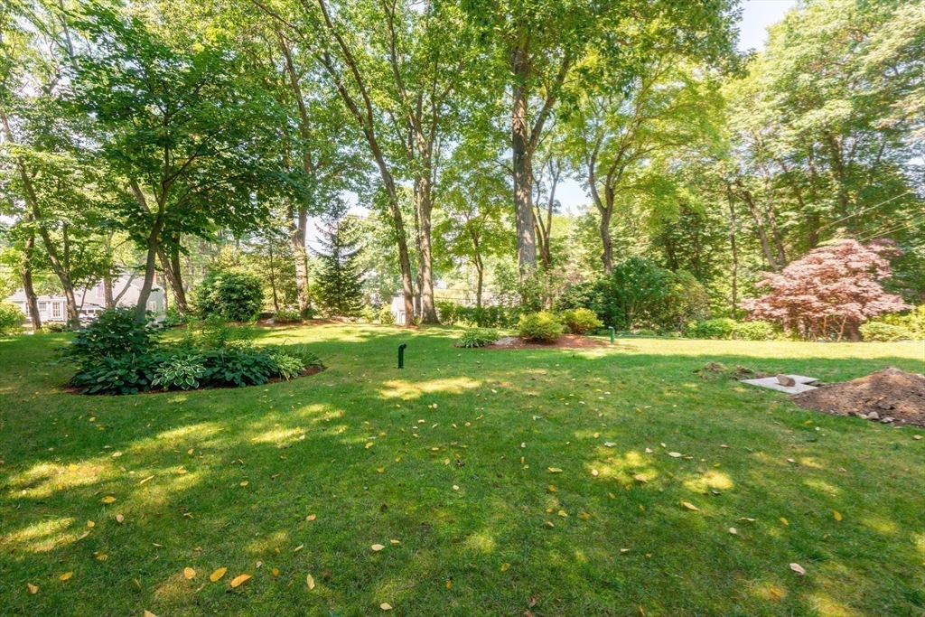 55 Boyles Street Beverly, MA 01915 - Photo 30 of 30 a view of yard with green space
