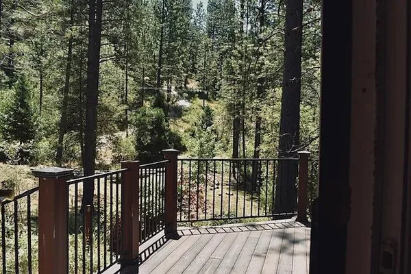 a view of a tree with a yard