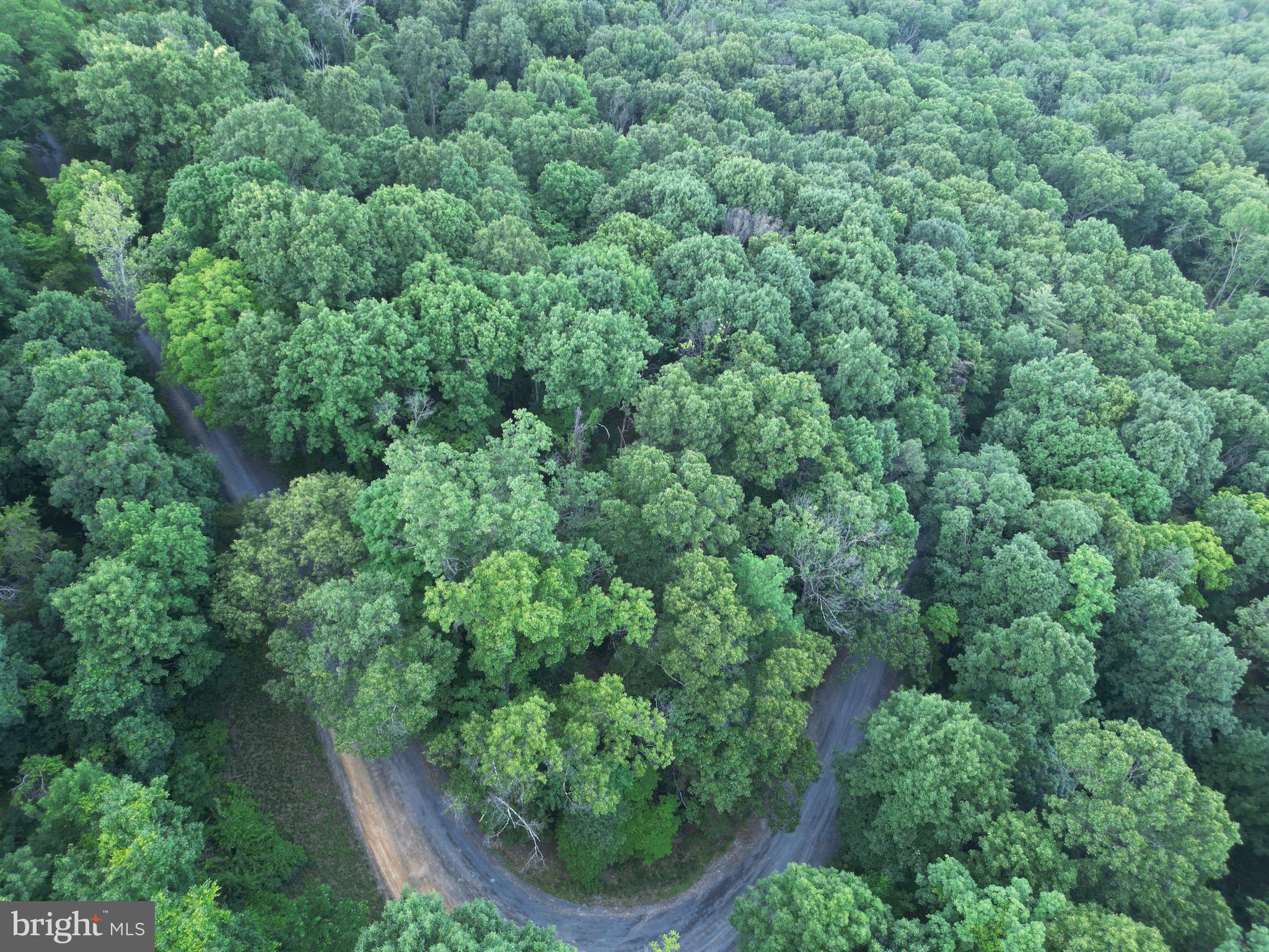 Tbd Rolly Road Mount Jackson, VA 22842 - Photo 1 of 20