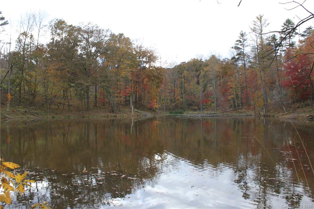 Tbd-2 Pisgah Ridge Circle Stony Point, NC 28678 - Photo 7 of 8 Gallery Image 7