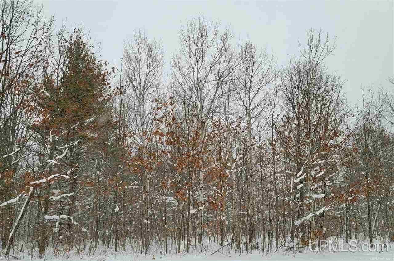Tbd Obenhoff Road Atlantic Mine, MI 49905 - Photo 6 of 6 Gallery Image 6