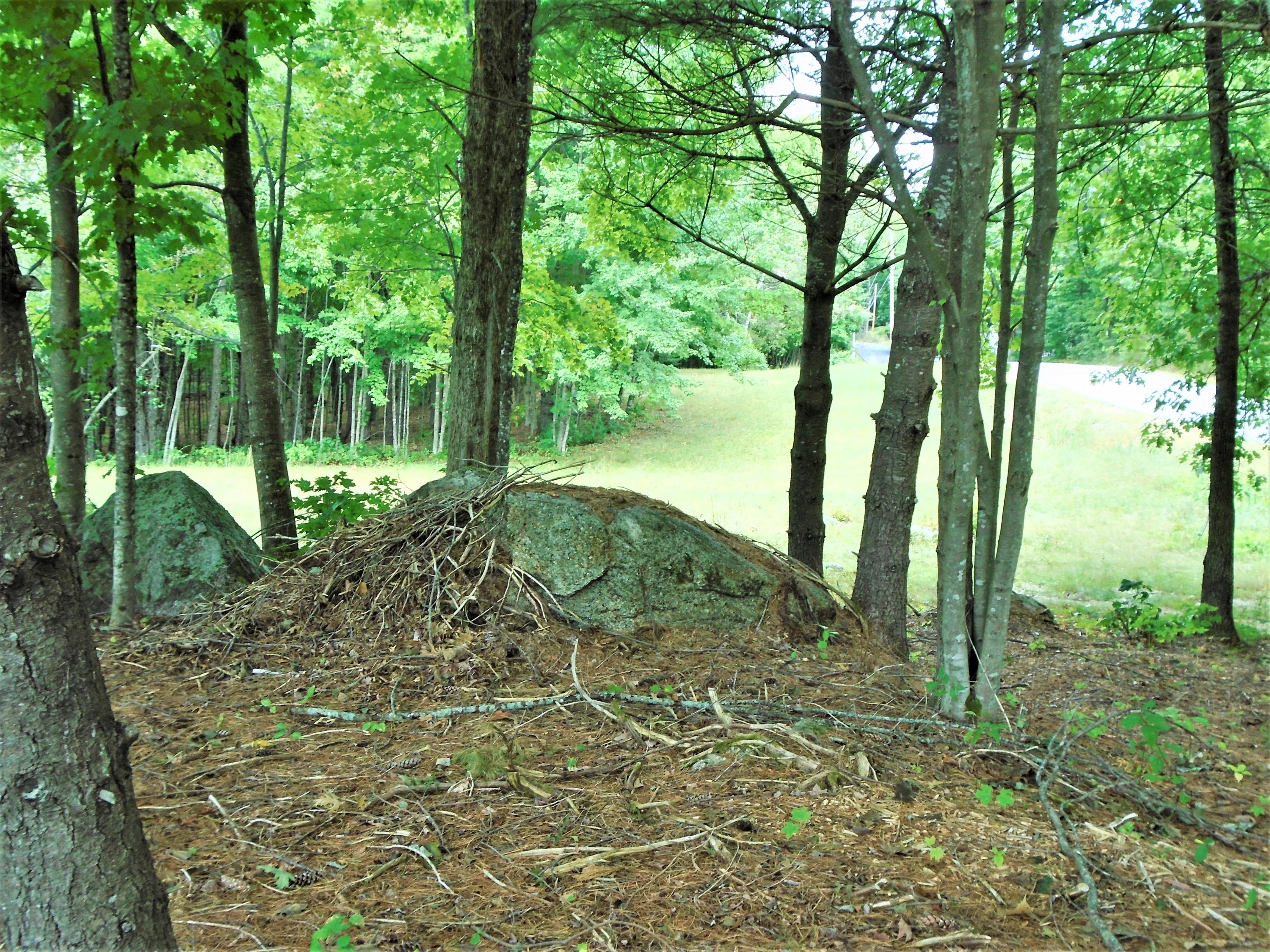 216 Sanborn Road Newfield, ME 04095 - Photo 25 of 33 DSC02105