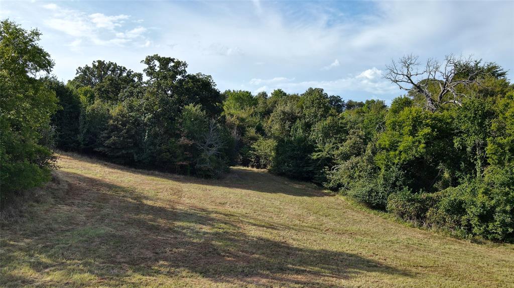Lot 255 Overlook Point Athens, TX 75752 - Photo 6 of 14 a view of outdoor space and yard
