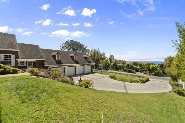a view of a garden with a tree