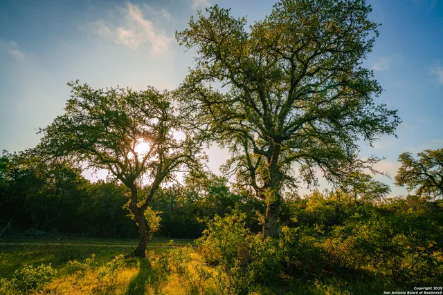 $435,625 | 0 Rolling Hill, Spring Branch, TX 78070