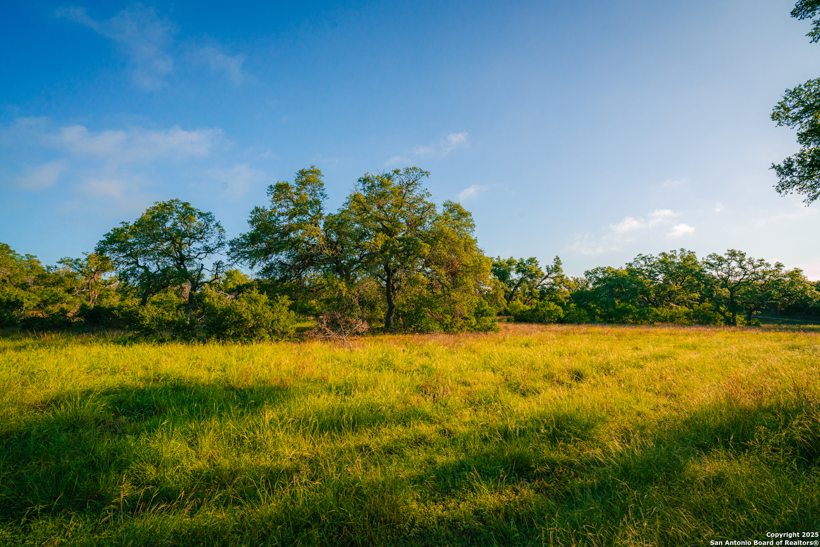 0 Rolling Hill Spring Branch, TX 78070 - Photo 3 of 9