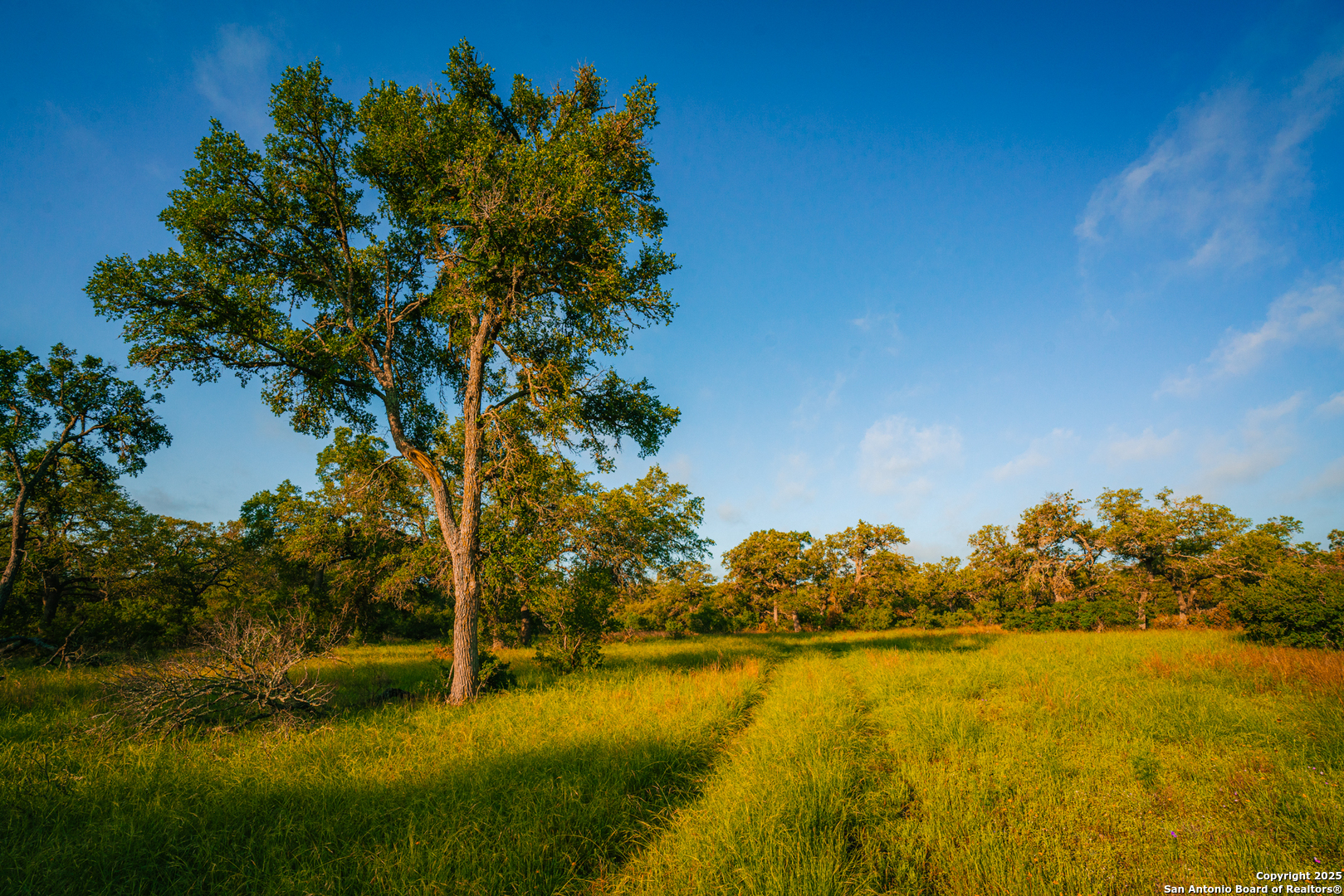 0 Rolling Hill Spring Branch, TX 78070 - Photo 4 of 9