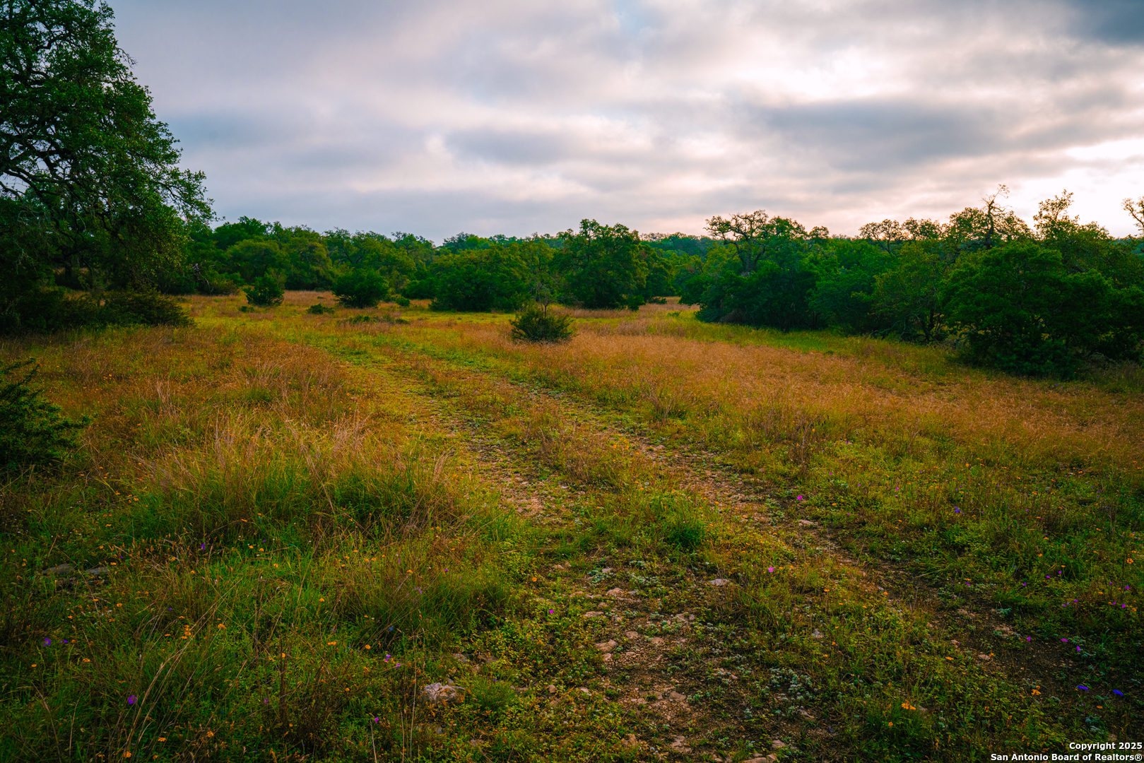 0 Rolling Hill Spring Branch, TX 78070 - Photo 5 of 9
