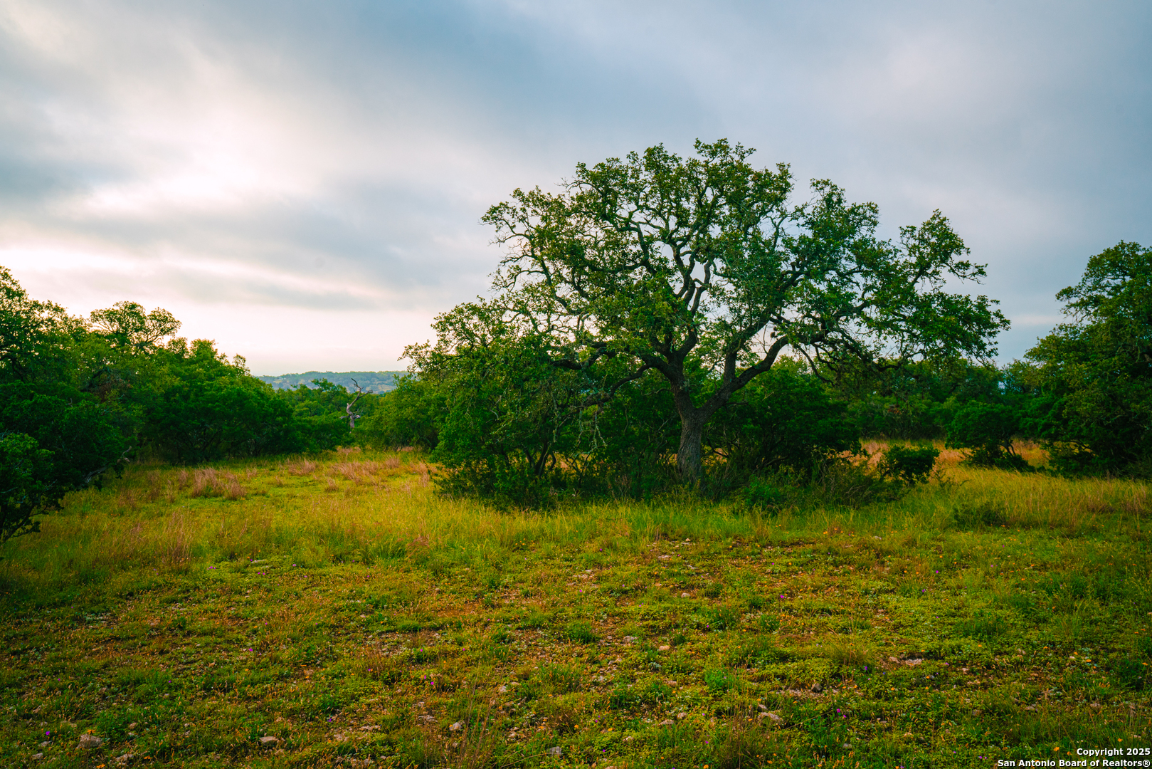 0 Rolling Hill Spring Branch, TX 78070 - Photo 6 of 9