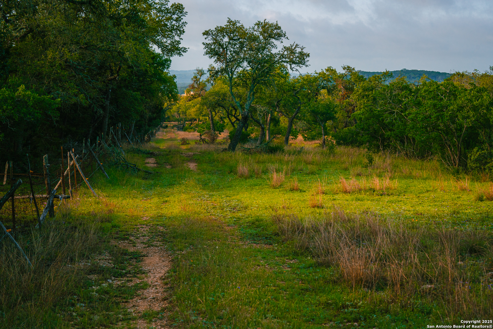 0 Rolling Hill Spring Branch, TX 78070 - Photo 7 of 9