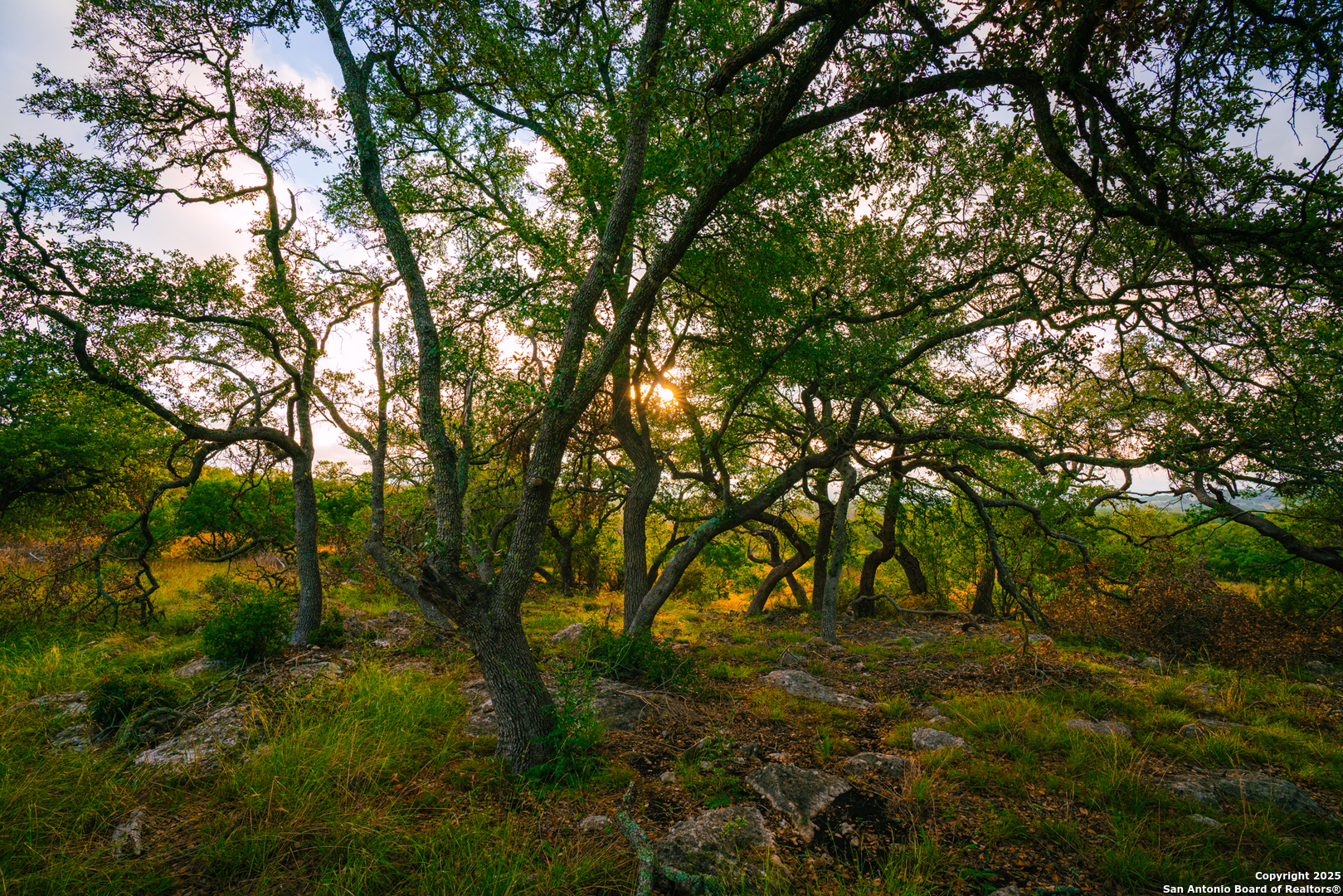 0 Rolling Hill Spring Branch, TX 78070 - Photo 8 of 9