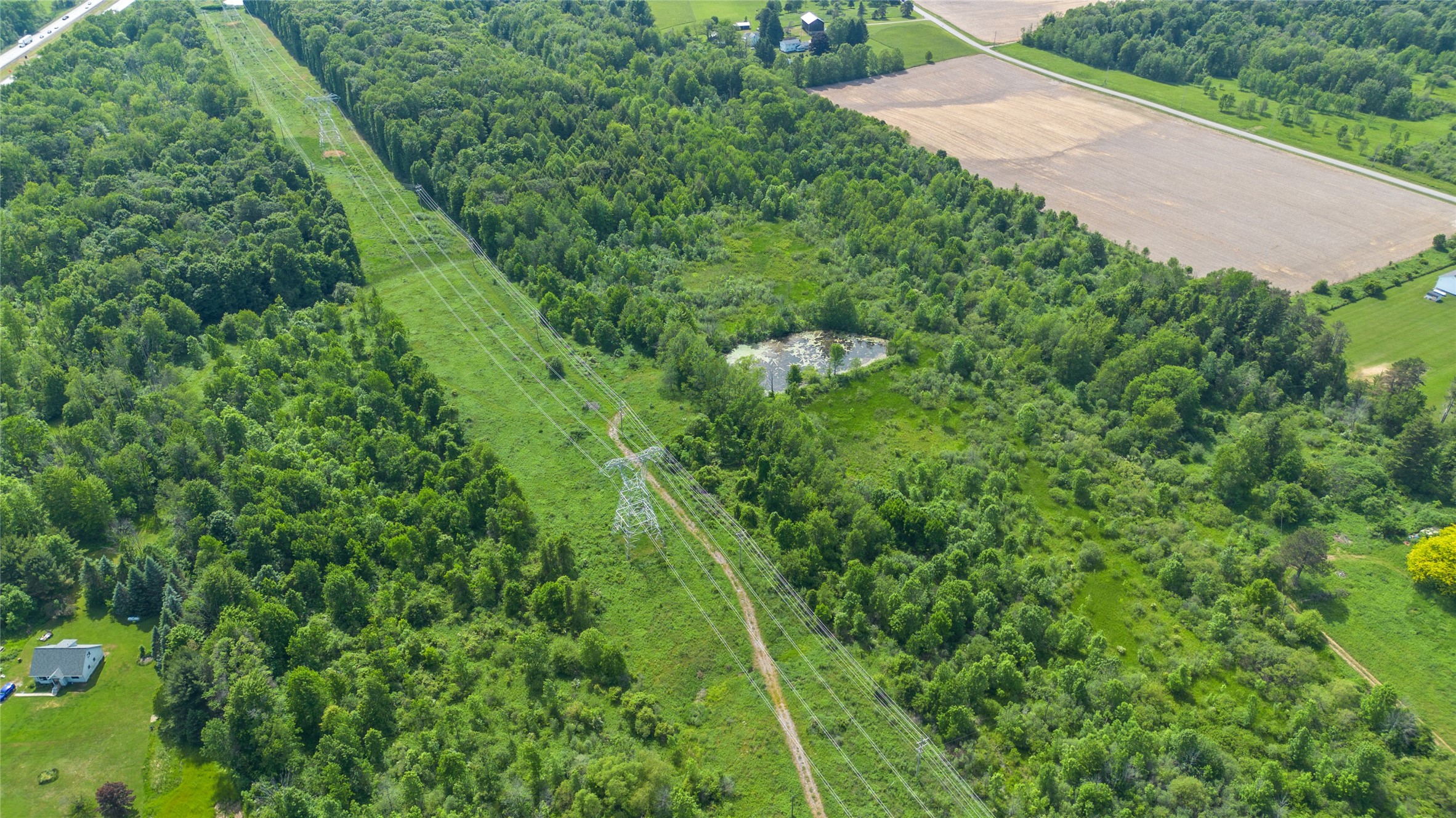 5460 Pinetree Road McKean, PA 16426 - Photo 17 of 18 a view of a yard with plants and large trees
