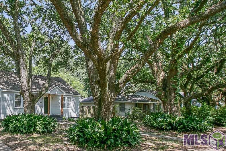 624 Edison Street Baton Rouge, LA 70806 - Photo 2 of 21 Trees