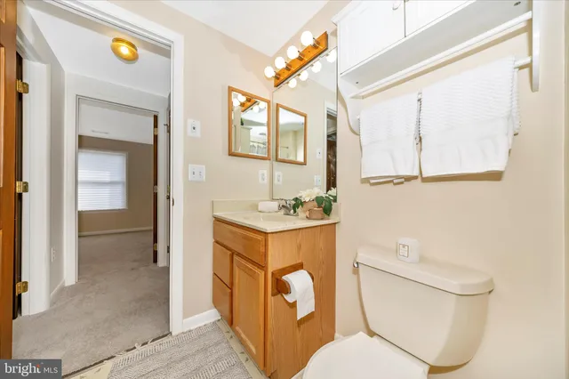 a bathroom with a sink mirror and toilet