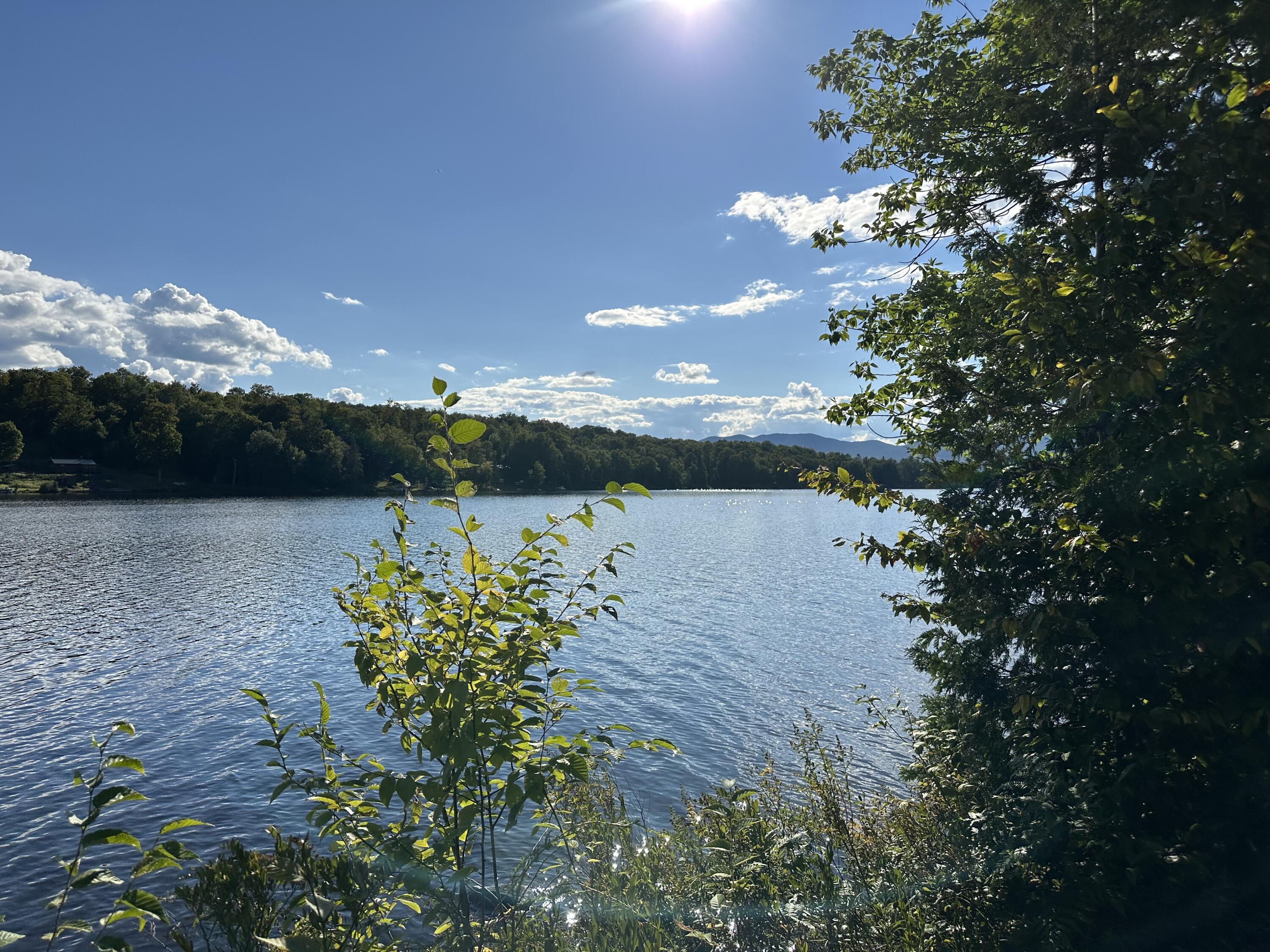 1028 Goodnow Flow Road Newcomb, NY 12852 - Photo 10 of 32 Gallery Image 10