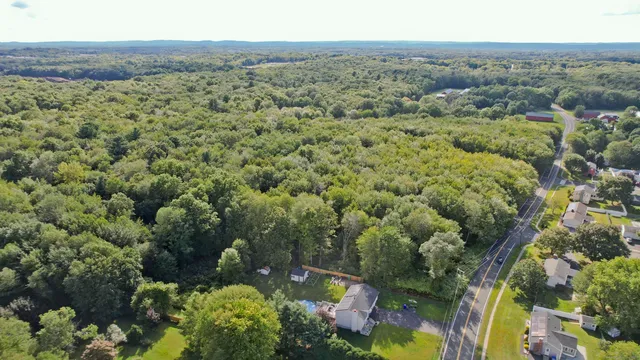 an aerial view of mountain with trees