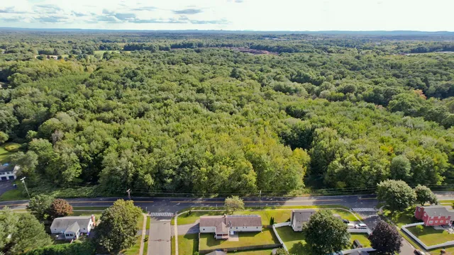 a view of a swimming pool with a yard