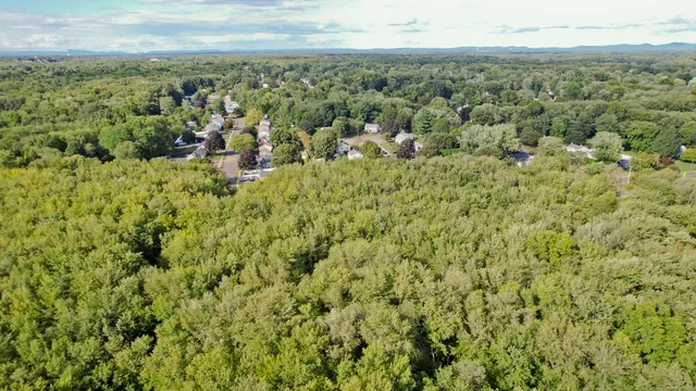 a view of a city with lush green forest