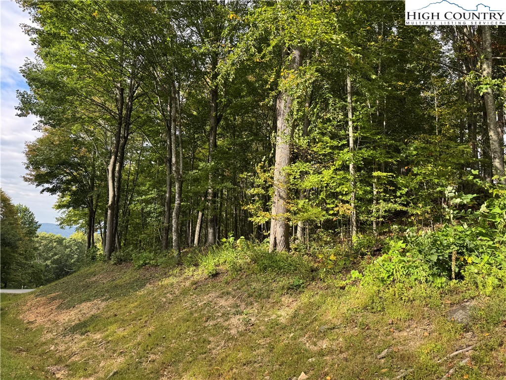 Bear Paw Road Elk Park, NC 28622 - Photo 11 of 19 a big yard with lots of green space and tree