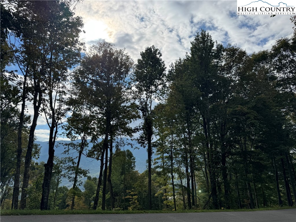 Bear Paw Road Elk Park, NC 28622 - Photo 12 of 19 a view of tree