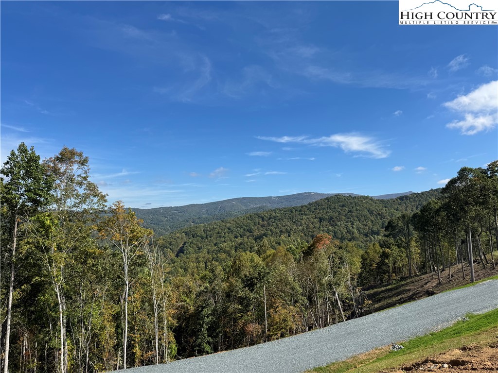 Bear Paw Road Elk Park, NC 28622 - Photo 18 of 19 a view of a city with lush green forest