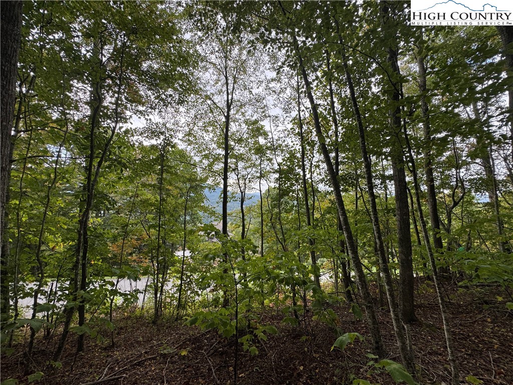 Bear Paw Road Elk Park, NC 28622 - Photo 3 of 19 a view of forest