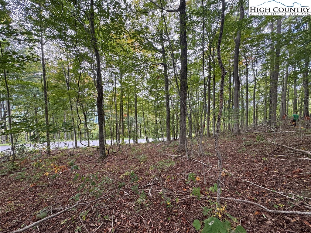 Bear Paw Road Elk Park, NC 28622 - Photo 4 of 19 a view of outdoor space with trees